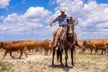Load image into Gallery viewer, Cattle Driver - All Natural - Beard Balm