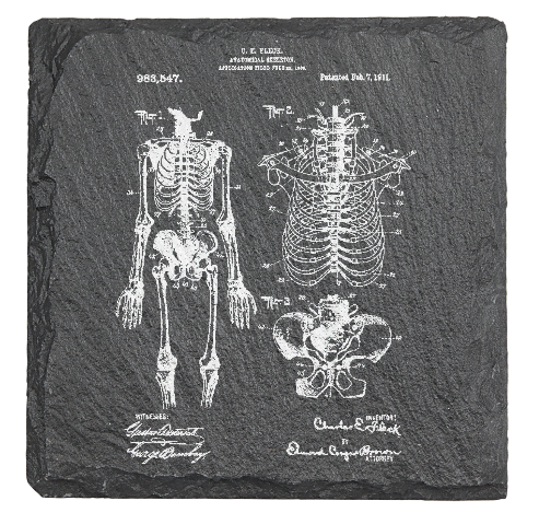 Skeleton medical - Laser engraved fine Slate Coaster